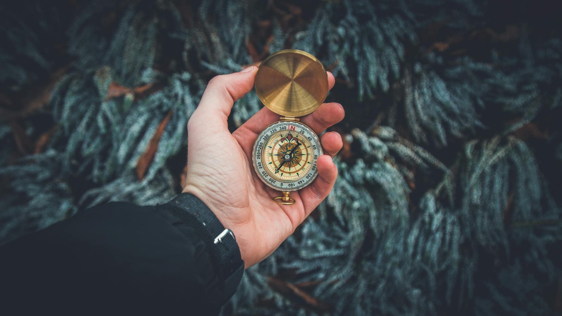 Unlocking Creative Power Through Specificity — featured image